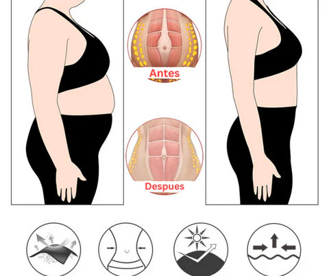Faja Reductora
